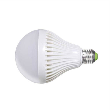 Dorr LED Light Bulb | 25 Watt | E27 Fitting | 5500K Colour