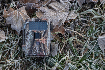 Dorr Wildlife Camera | 12MP | 40 Black LEDs | 0.9 sec Trigger | 15 Meter Sensor | Full HD Video