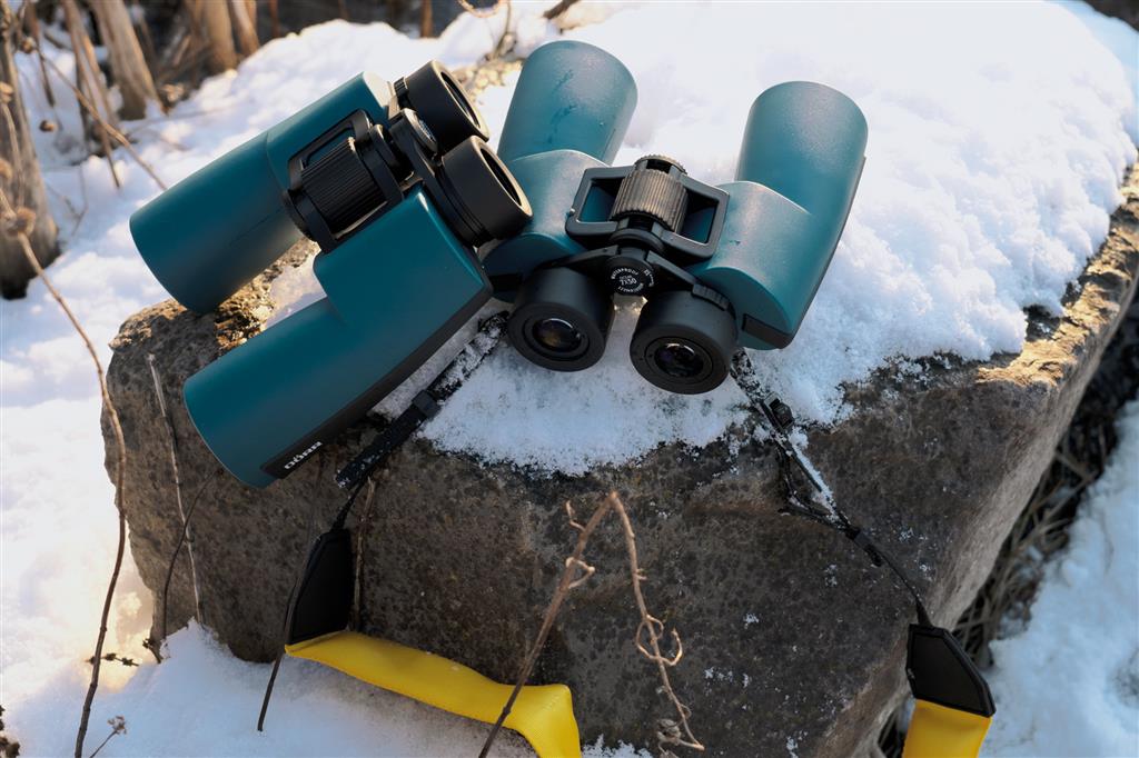 Dorr Ocean Waterproof 10X50 Binoculars